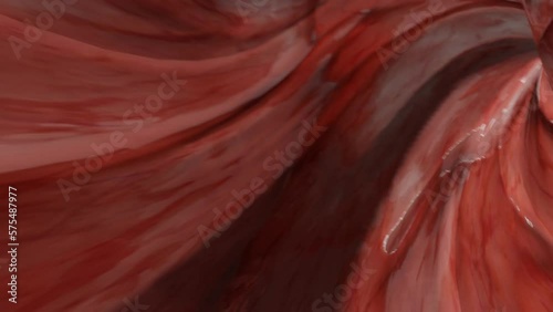 Movement of red bloodstream cells within human blood vessels, Red Blood cells flow through veins, Human body system, motion graphic shows an animation of a blood vessel with antibodies and red blood.