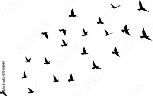 Black vector flying birds flock silhouettes isolated on white background. symbol tattoo design graphic.