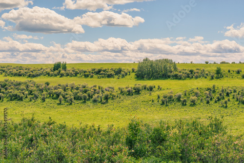 Landscape of the the lush green Alberta foothills.