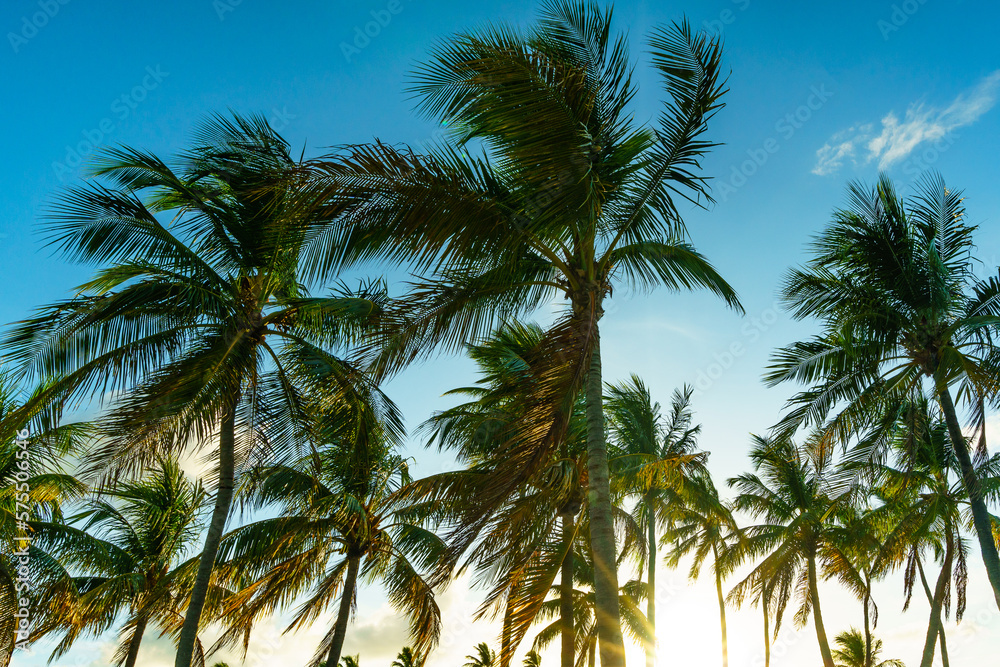 Islamorada Sunrise in the Florida Keys