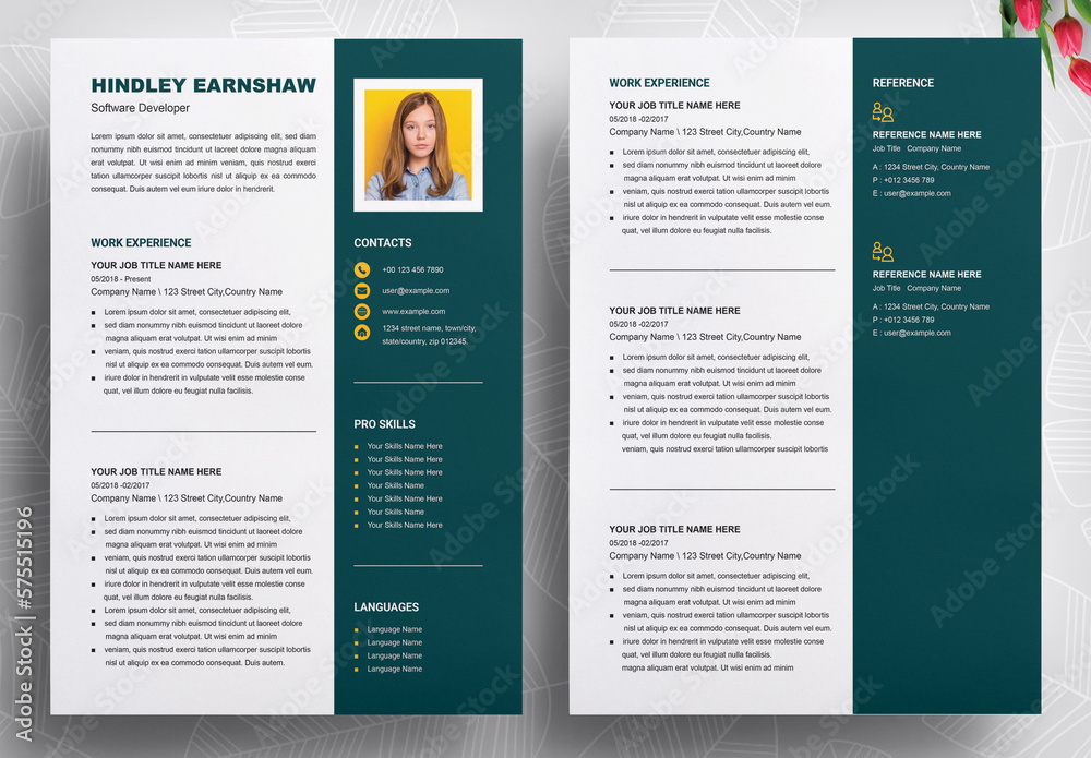 Software Developer Resume Design Template Stock Template Adobe Stock Software Developer Resume Design Template Stock Template Adobe Stock