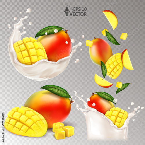 Natural fresh mango in a splash of milk or yogurt. Set of realistic ripe fruits. Mango pieces and slices falling into milk. 3d realistic vector illustration