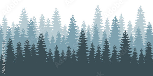 Coniferous forest background. Fog evergreen coniferous trees.