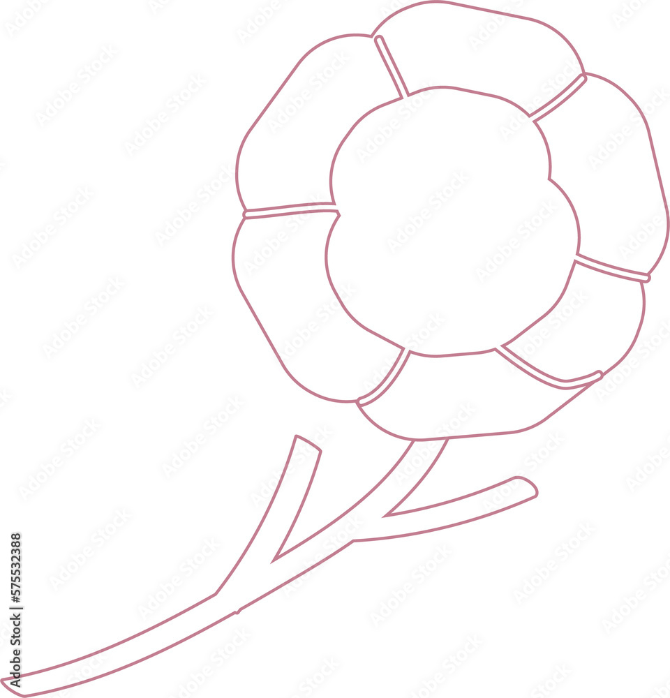 Line version of purple morning glory, classical flowers in Chinese style Line version of purple morning glory, classical flowers in Chinese style