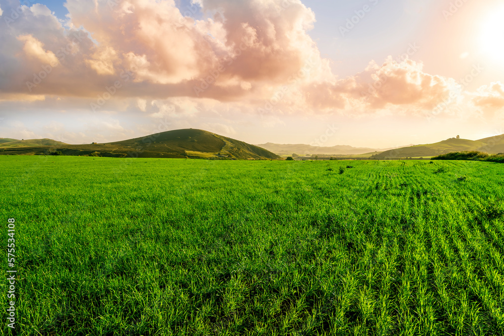green landscape of spring field with green young grass and amazing hills on background