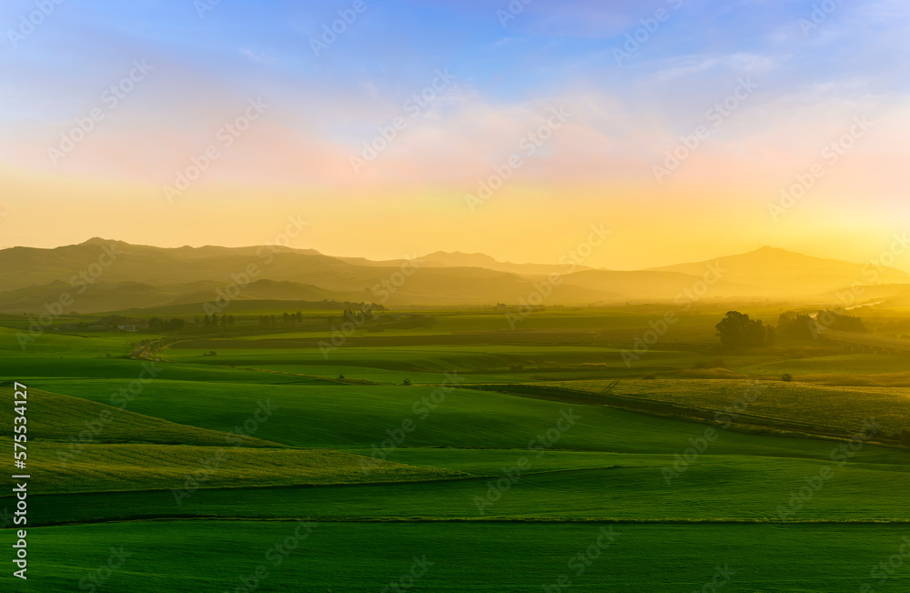 green field in countryside at sunset in the evening light. beautiful spring landscape in the mountains. grassy field and hills. rural scenery