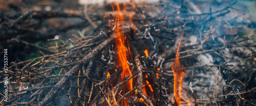 Burning branches and brushwood in fire close-up. Atmospheric warm background with orange flame of campfire and blue smoke. Beautiful full frame image of bonfire. Firewood burns in vivid flames.