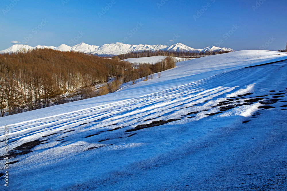 融雪剤散布跡の丘と十勝岳連峰（美瑛町）