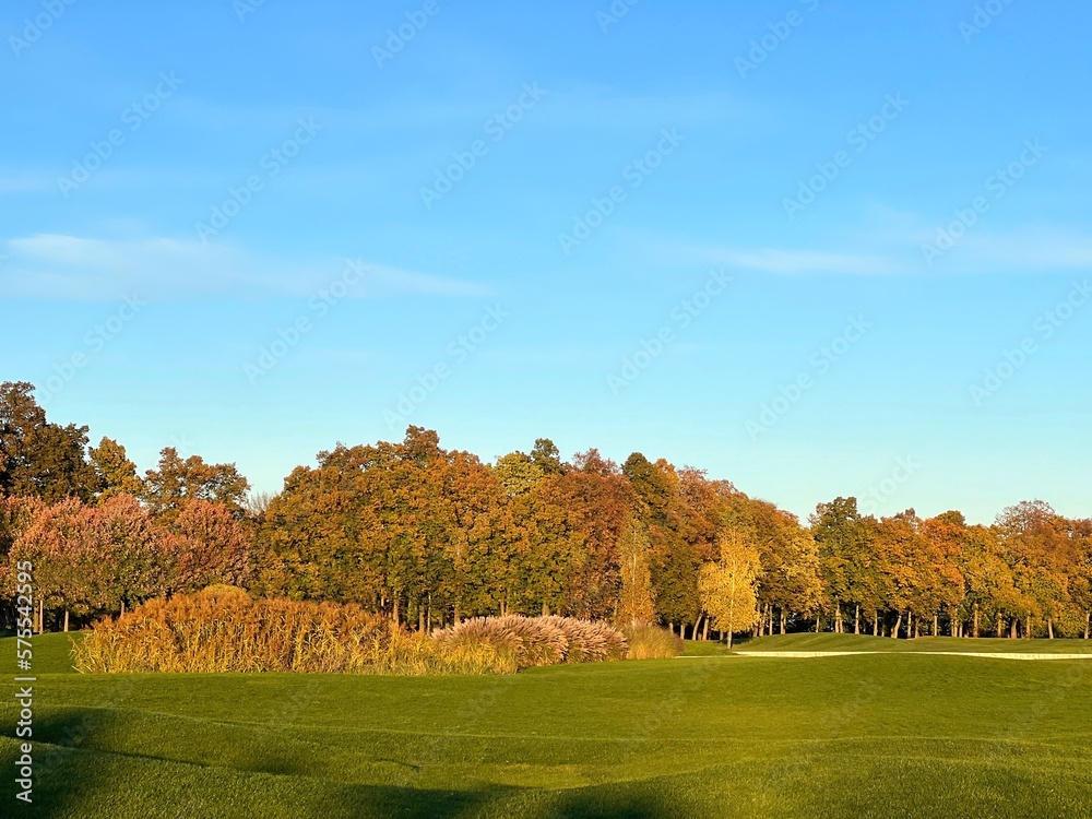 Golf field with green grass near autumn park trees.