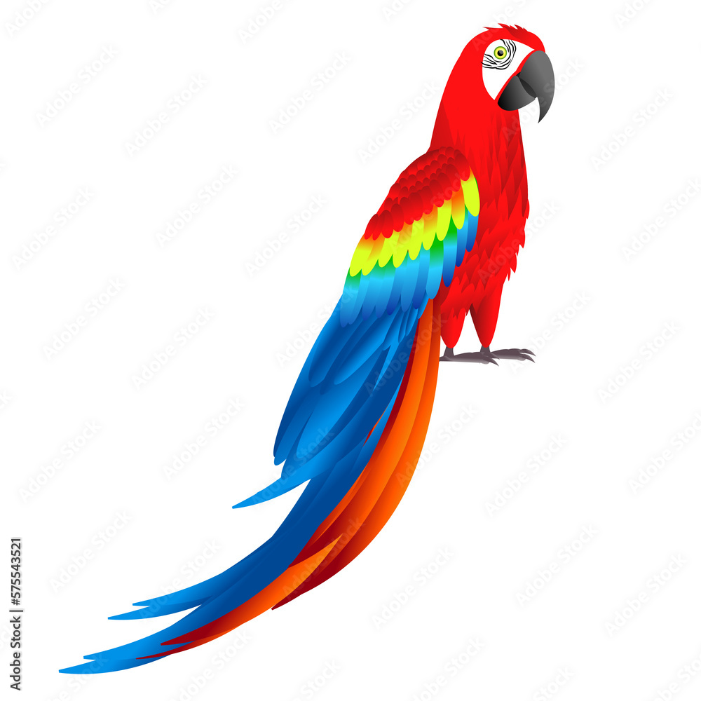 beautiful colorful parrot illustration