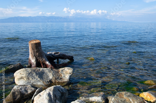 The old stump was carried to the rocky shore of the lake. A sunny summer day.