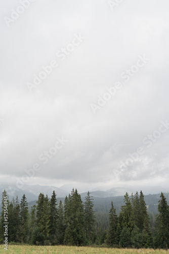 Picturesque view of mountain hill  forest  sky and clouds. Scenic nature landscape. Summer vacation travel