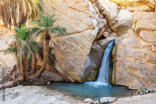 The amazing Waterfall Chebika, Tunisia photo