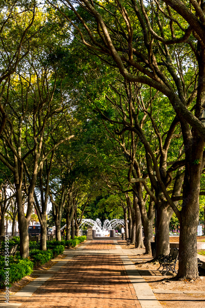 Empty footpath in Riley Waterfront Park, Charleston, South Carolina, USA Empty footpath in Riley Waterfront Park, Charleston, South Carolina, USA