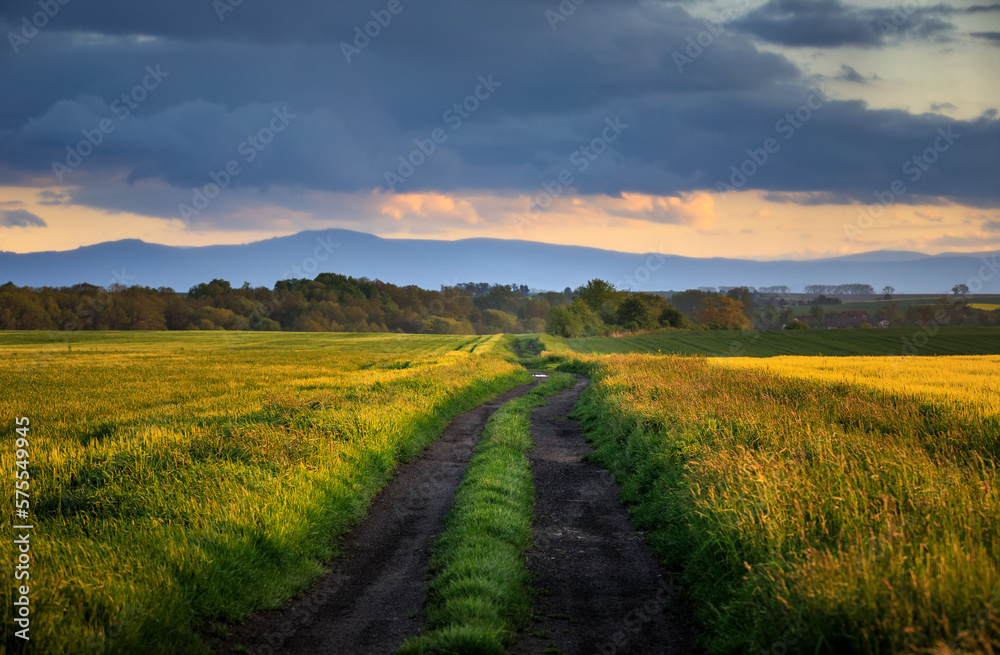 Obraz premium Polish landscape