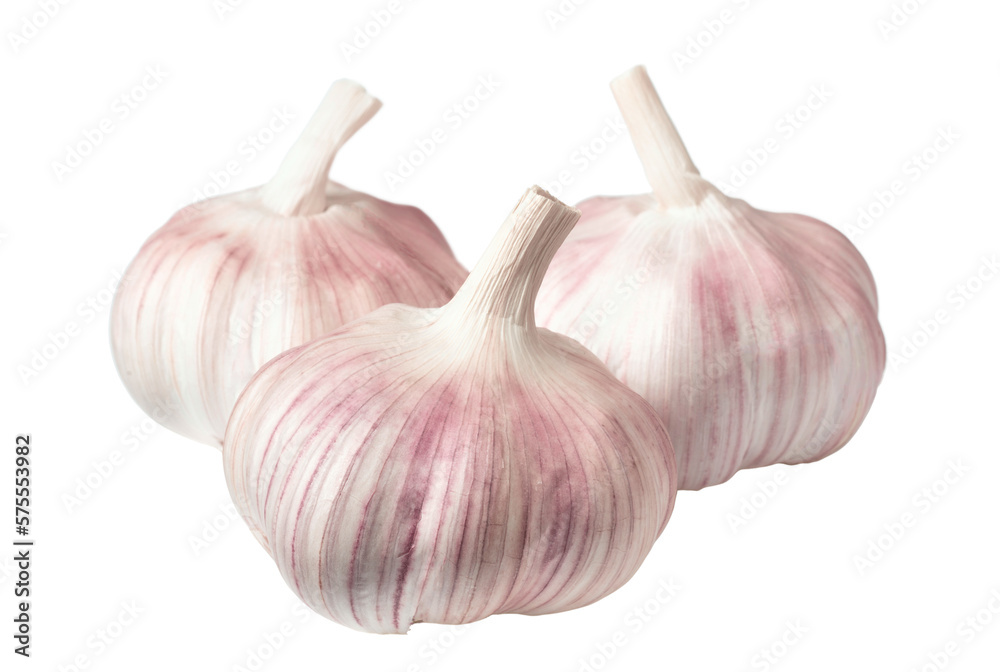 Whole garlic bulbs isolated on the white background. Whole garlic bulbs isolated on the white background.