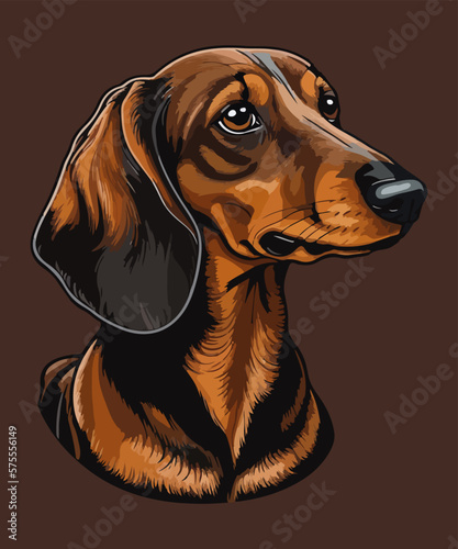 Dachshund - vector illustration, isolated background