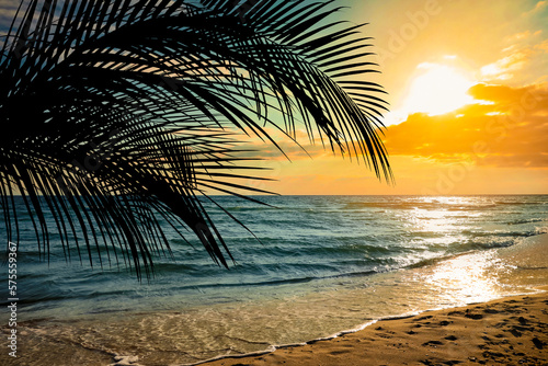 Picturesque view of tropical beach with palm tree at sunset