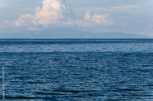 A lone duck swims in the distance on the waves of the lake.