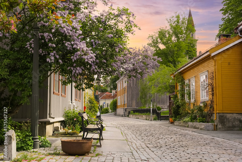 Fototapeta Naklejka Na Ścianę i Meble -  residential district Bakklandet, Trondheim