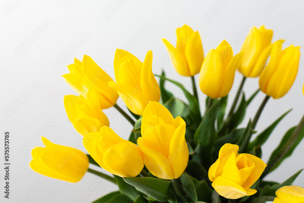 Beautiful spring bouquet of yellow tulips, festive bouquet for birthday or holiday Beautiful spring bouquet of yellow tulips, festive bouquet for birthday or holiday