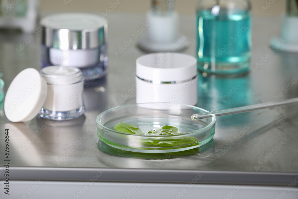 Glass tubes, containers and petri dish with leaves on metal table indoors Glass tubes, containers and petri dish with leaves on metal table indoors