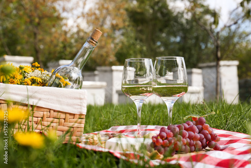 Glasses of white wine and snacks for picnic served on blanket near apiary