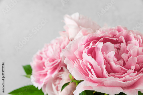 Close up of pastel pink peony flowers on white background. Wedding or Mothers day card. Macro shot