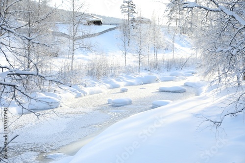 Picturesque view of frozen pond and trees covered with snow outdoors. Winter landscape © New Africa