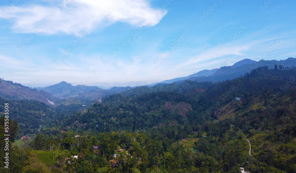 Aerial view of a tropical park and a forest with palm trees. Beautiful tropical wallpapers for tourism and advertising. Asian landscape, drone photo