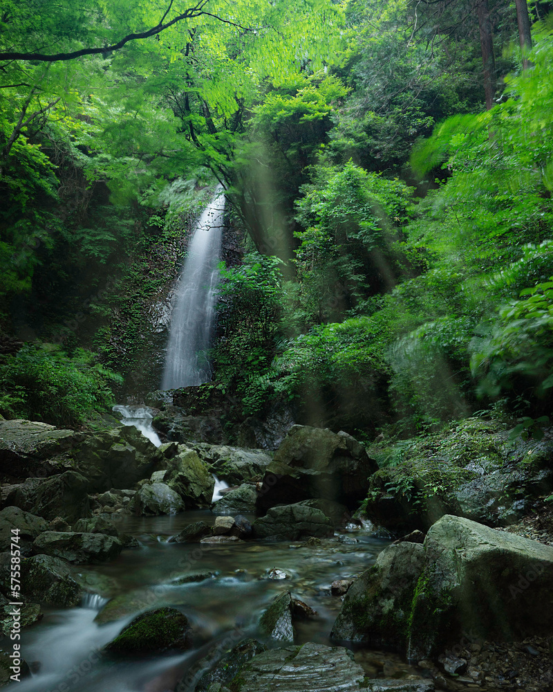 Obraz premium 癒し