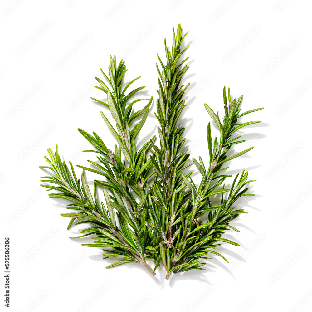 Rosemary herb spice leaves isolated on white background. top view Rosemary herb spice leaves isolated on white background. top view