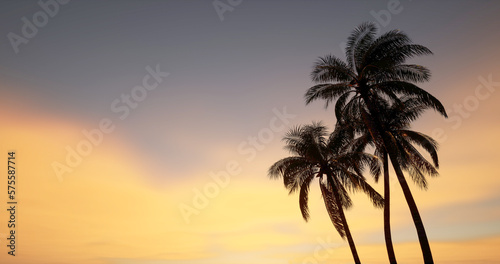Image of coconut tree against the afternoon sky, the background for the design to welcome summer. 3D rendering 