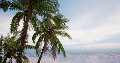 The image of a coconut tree against the early morning sky, the background for the hello summer design. 3D rendering  © dovan