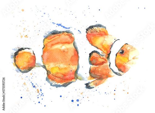 Clowm tropical fish watercolor illustration with splashes.