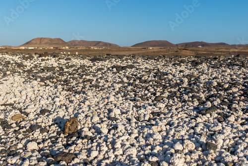 popcorn beach, beach arolla full of white polychaetes that look like popcorn. Desert mountains in the background. Fuerteventura, Canary Islands, Spain photo