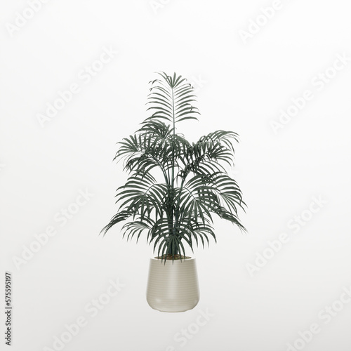 Green Plant Leave In a Ceramic Vase on White Background  3d rendering