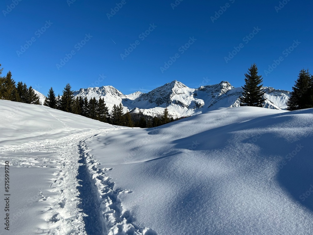 Wonderful winter hiking trails and traces in the fresh alpine snow cover of the Swiss Alps and over the tourist resort of Arosa - Canton of Grisons, Switzerland (Schweiz) Wonderful winter hiking trails and traces in the fresh alpine snow cover of the Swiss Alps and over the tourist resort of Arosa - Canton of Grisons, Switzerland (Schweiz)