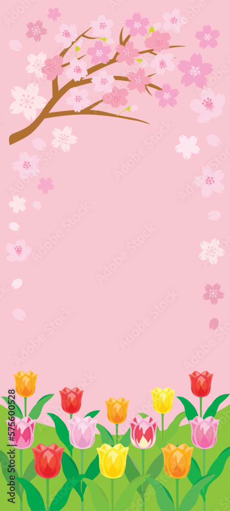桜とチューリップのピンクの背景イラスト