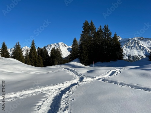 Wonderful winter hiking trails and traces in the fresh alpine snow cover of the Swiss Alps and over the tourist resort of Arosa - Canton of Grisons, Switzerland (Schweiz)