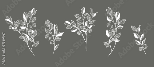 blueberry branches, berries and leaves. lace pattern. vector illustration