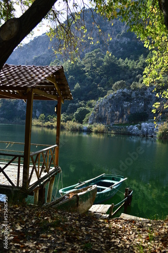 wooden bridge over lake