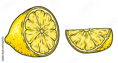 Sliced lemon set colorful sticker