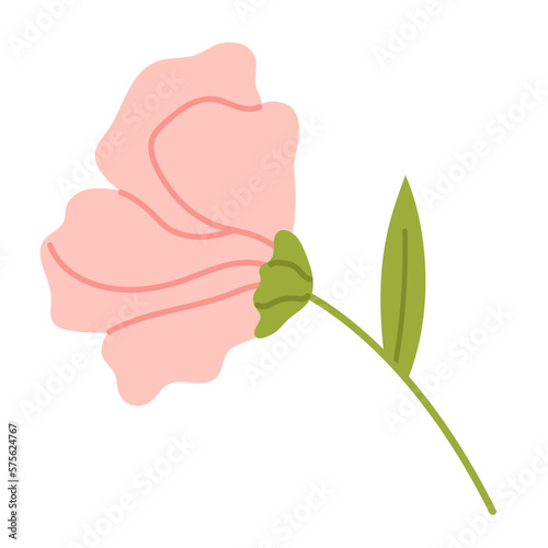 Vector soft flower with stamens. Elegance pink peony in flat design. Delicate blossom flower in soft pink color.