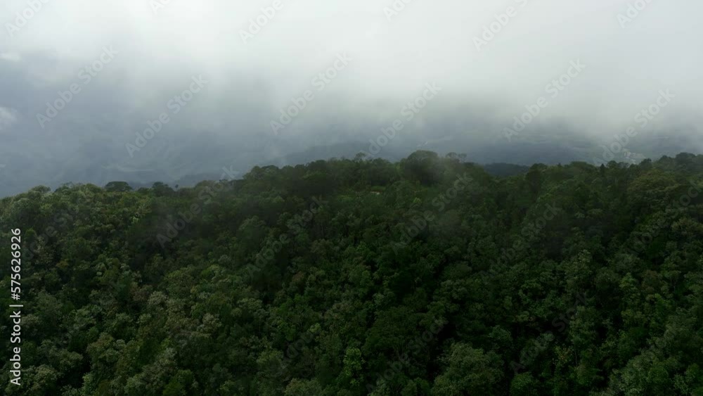 flight over the forest with a flight into the cloud in a straight line in the mountains flight over the forest with a flight into the cloud in a straight line in the mountains