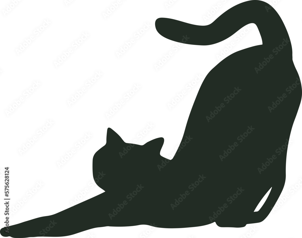 black cat cute and the shadow