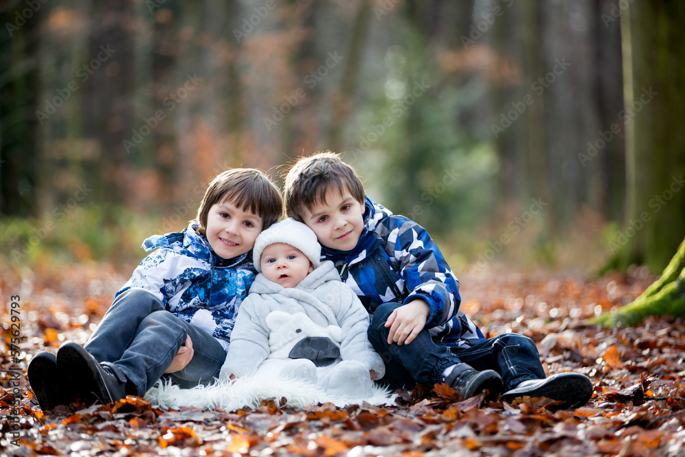 Portrait of three boys, brothers, in the forest, autumn