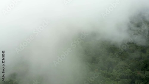 flight over the forest with a direct flight into the cloud shooting from a flycam