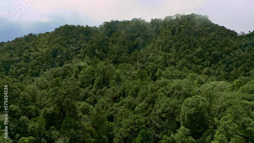 Flight over the forest in the mountains forward into the cloud from a drone