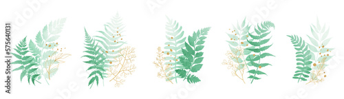 Set of watercolor green leaves elements isolated on white background. Foliage collection of  branch  fern leaves with gold splashes and line art. Botanical art design. Vector illustration.